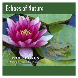 草草影院一级毛片a级
